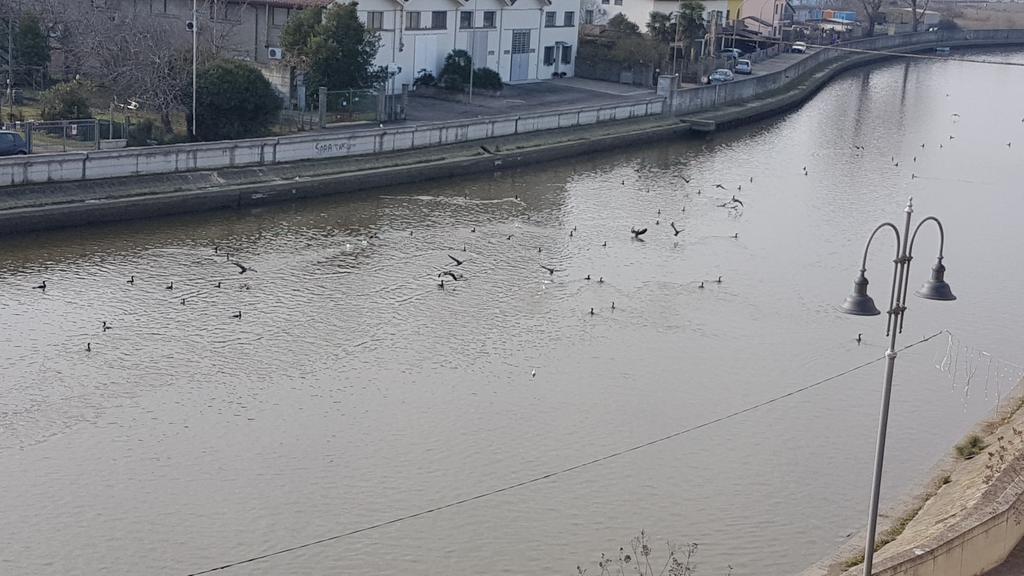 Palazzo Spada - Attico Con Terrazza Vista Fiume In Centro Codigoro Eksteriør bilde
