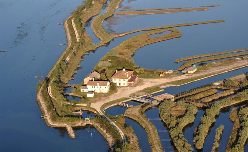 Palazzo Spada - Attico Con Terrazza Vista Fiume In Centro Codigoro Eksteriør bilde